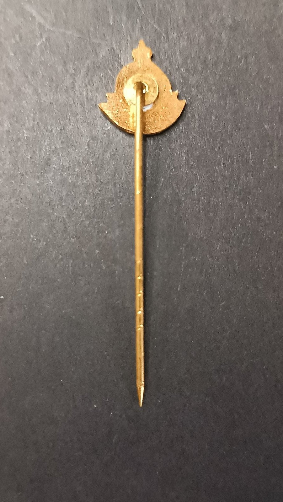 spilla badge pins NOAD