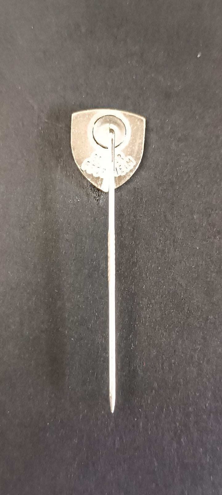 spilla badge pins SSV Reutlingen 05