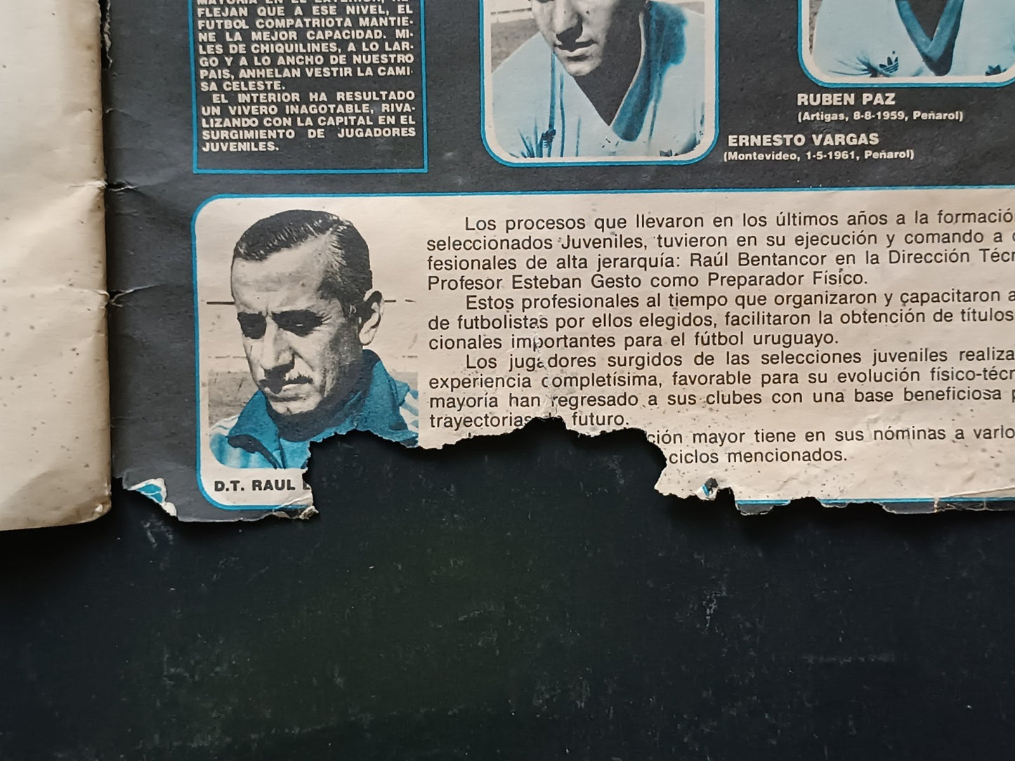 Image #19
