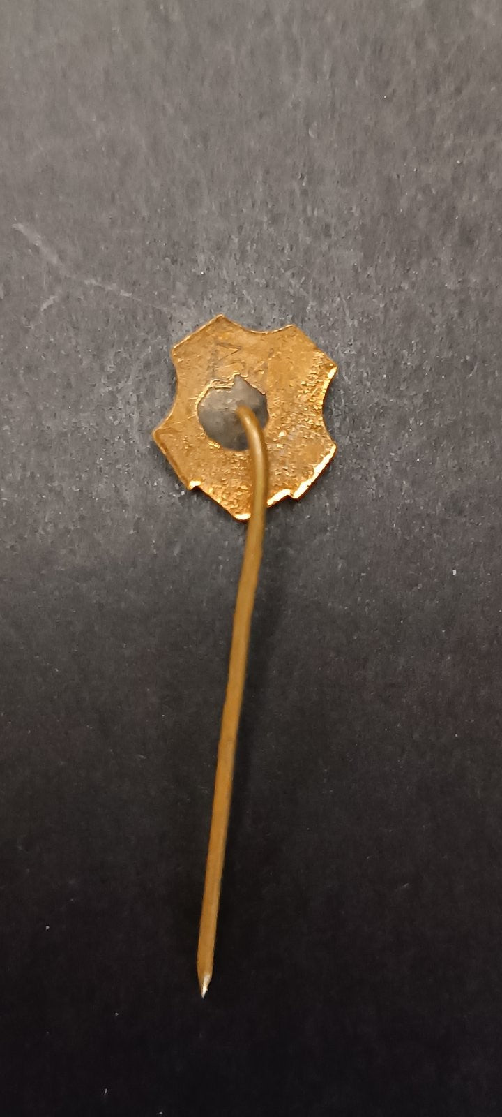 spilla badge pins OFC Bdin Vidin