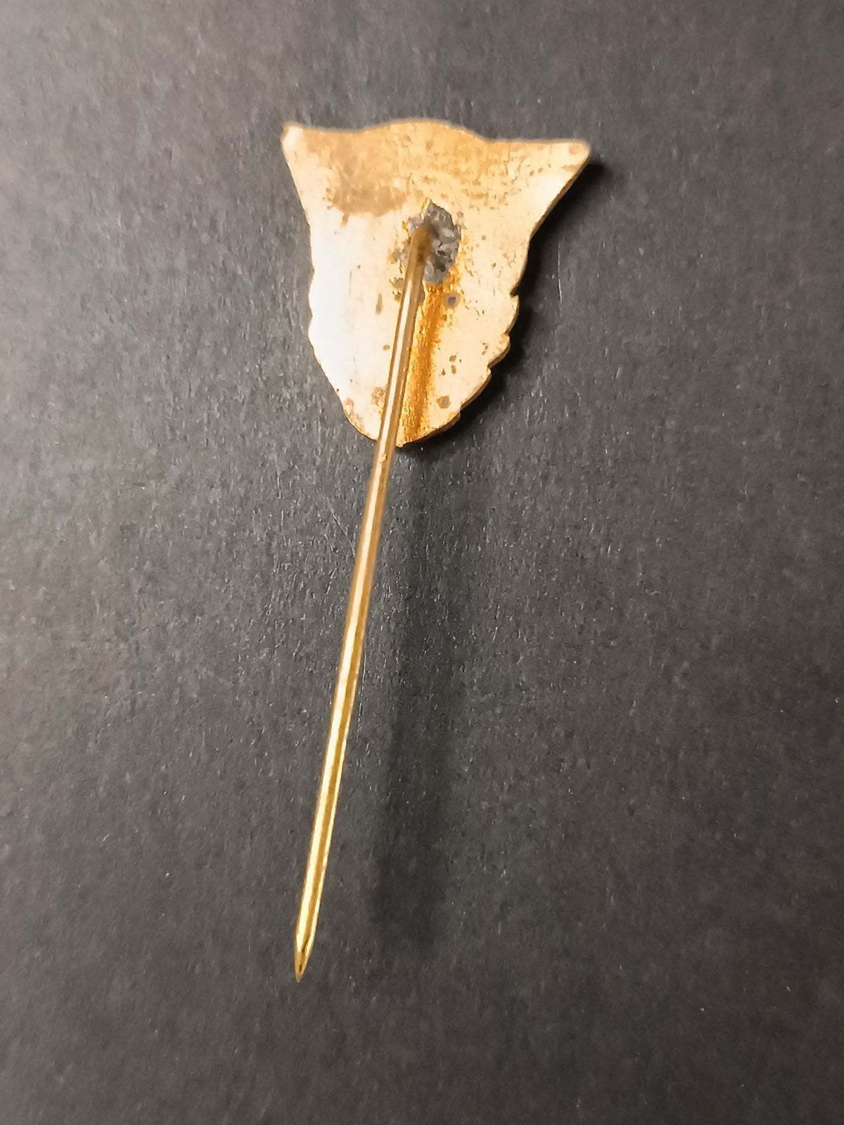 spilla badge pins gornik walbrzych