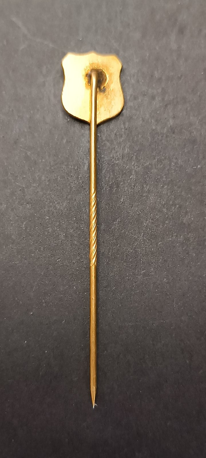 spilla badge pins OIS