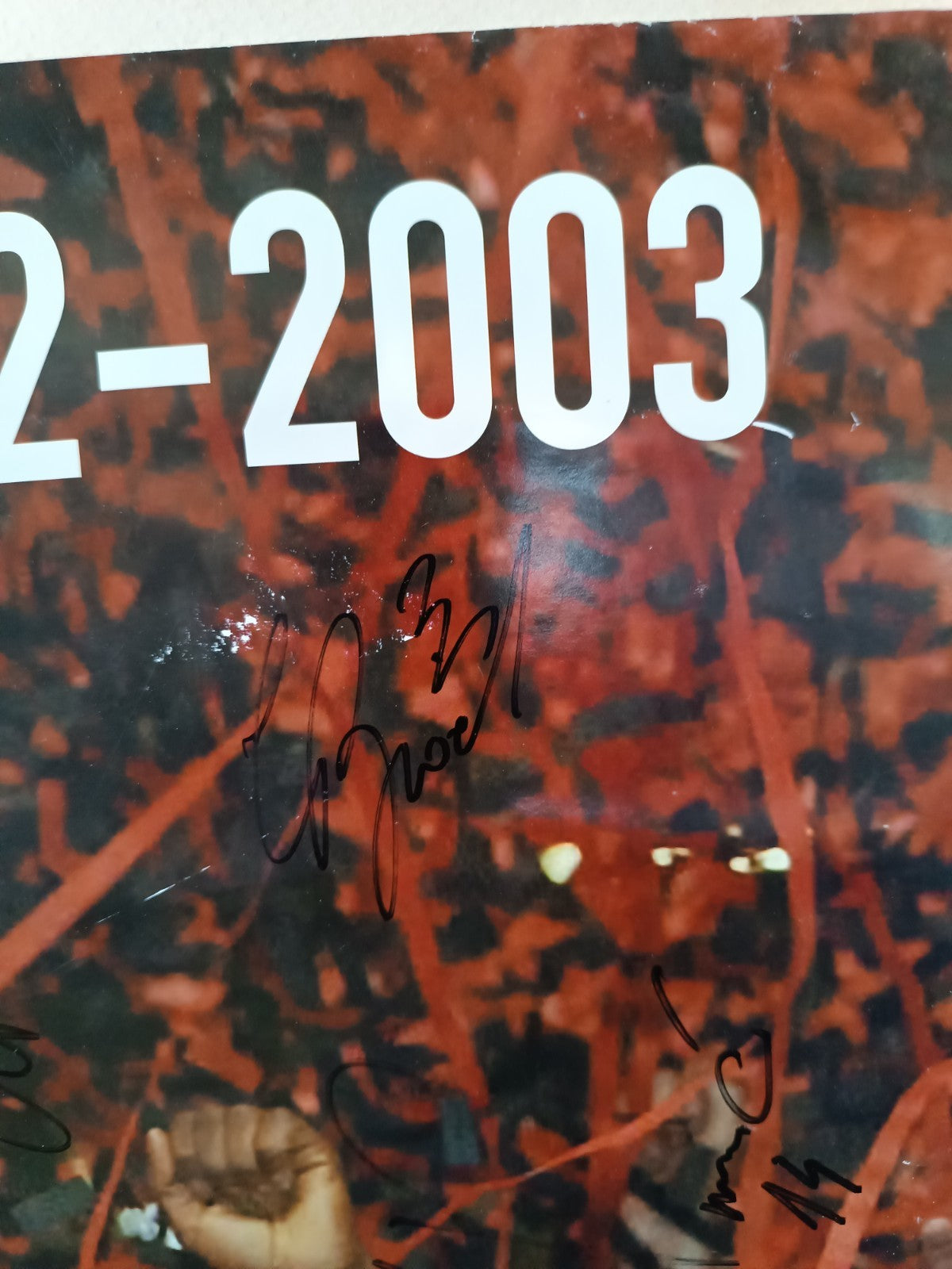 Poster AUTOGRAFATO originale CAMPIONI EUROPA 2002-2003 San Siro museo Arisi