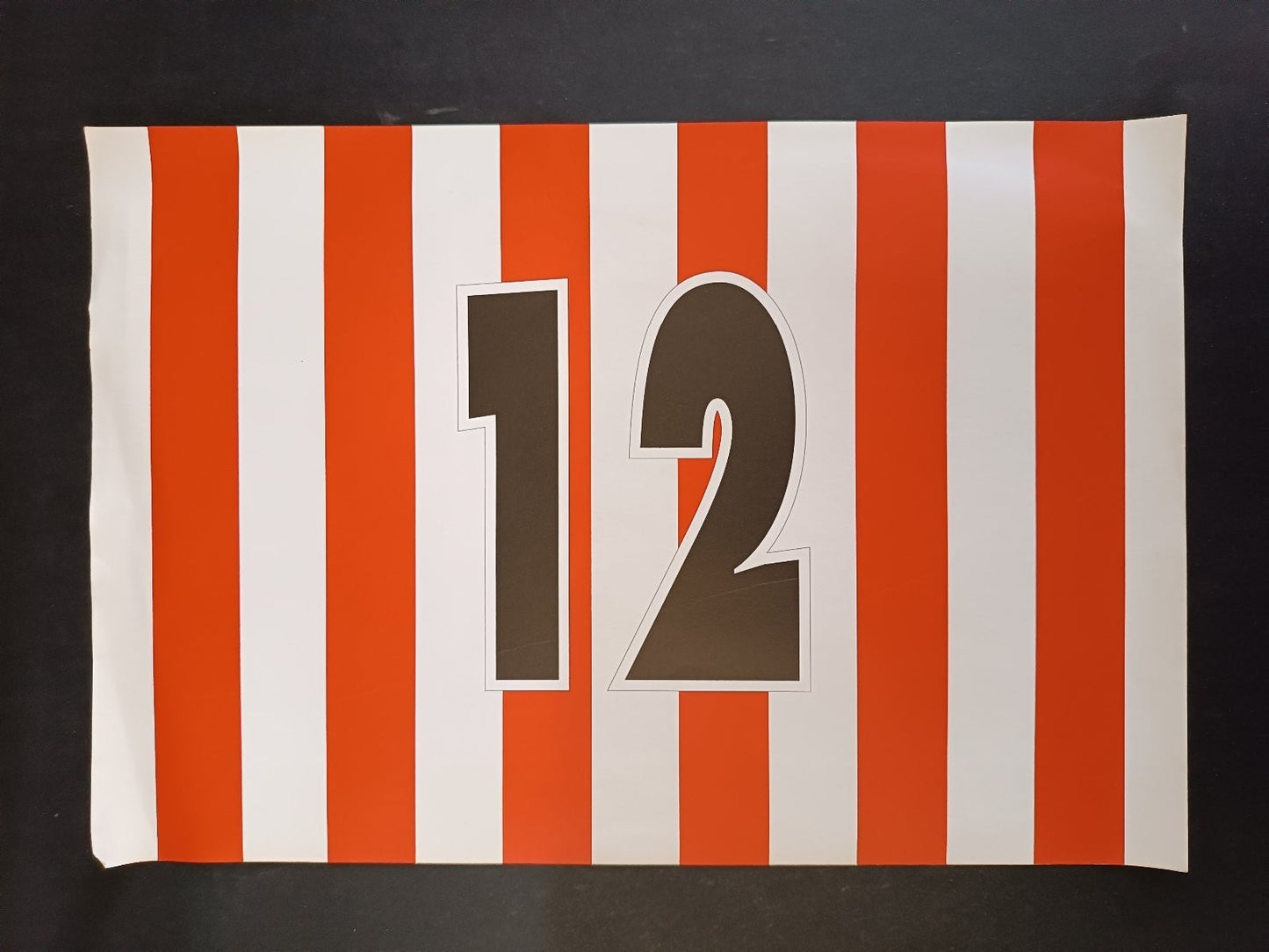 Poster squadra ATHLETIC CLUB BILBAO 1994-95 (25x35 cm)