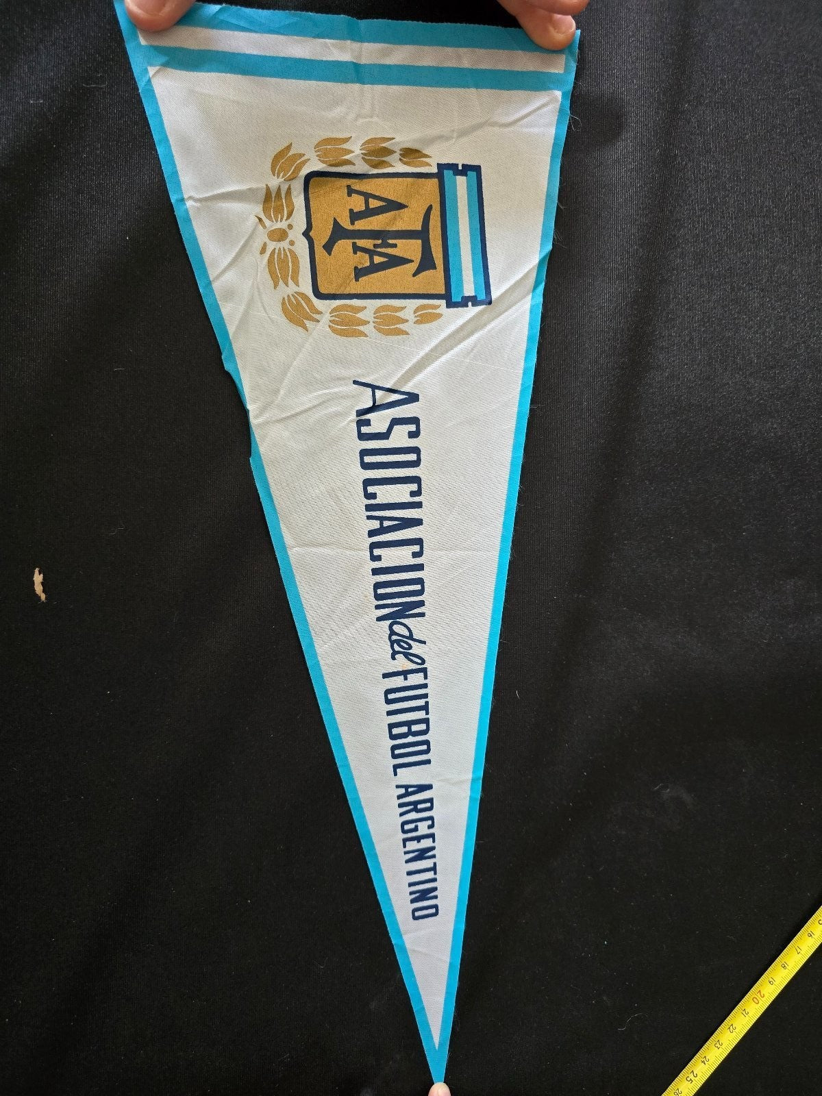 Gagliardetto Pennant AFA ARGENTINA