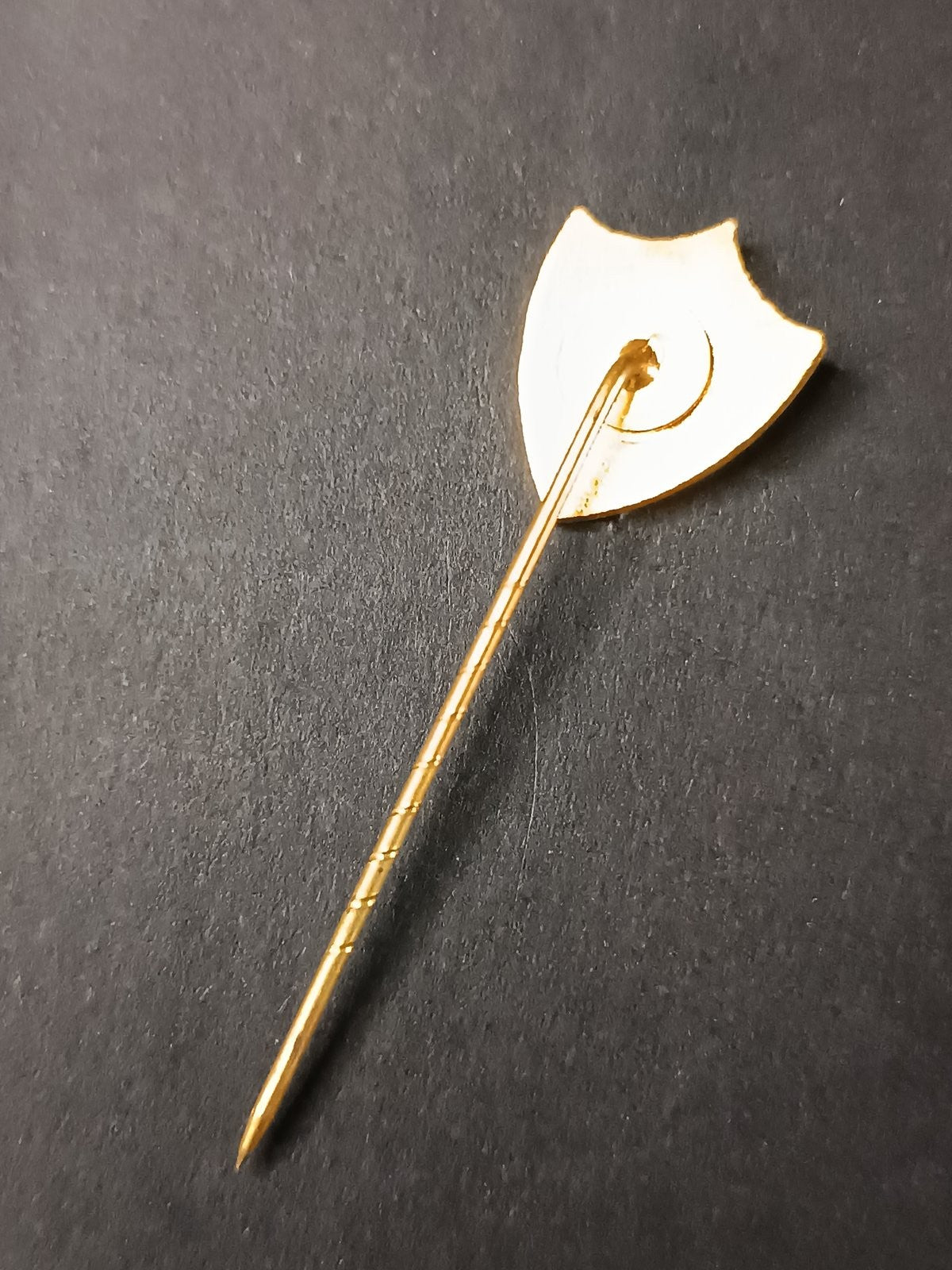 spilla badge pins S.G.S.