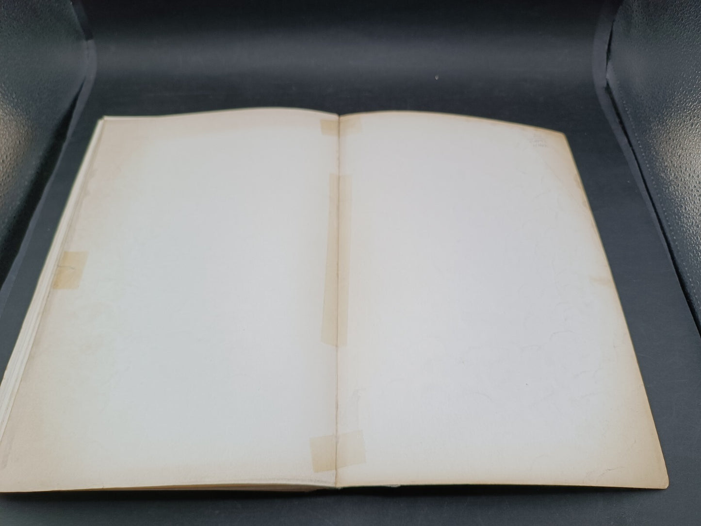 Libro I sessant'anni del Torino 1906-1966