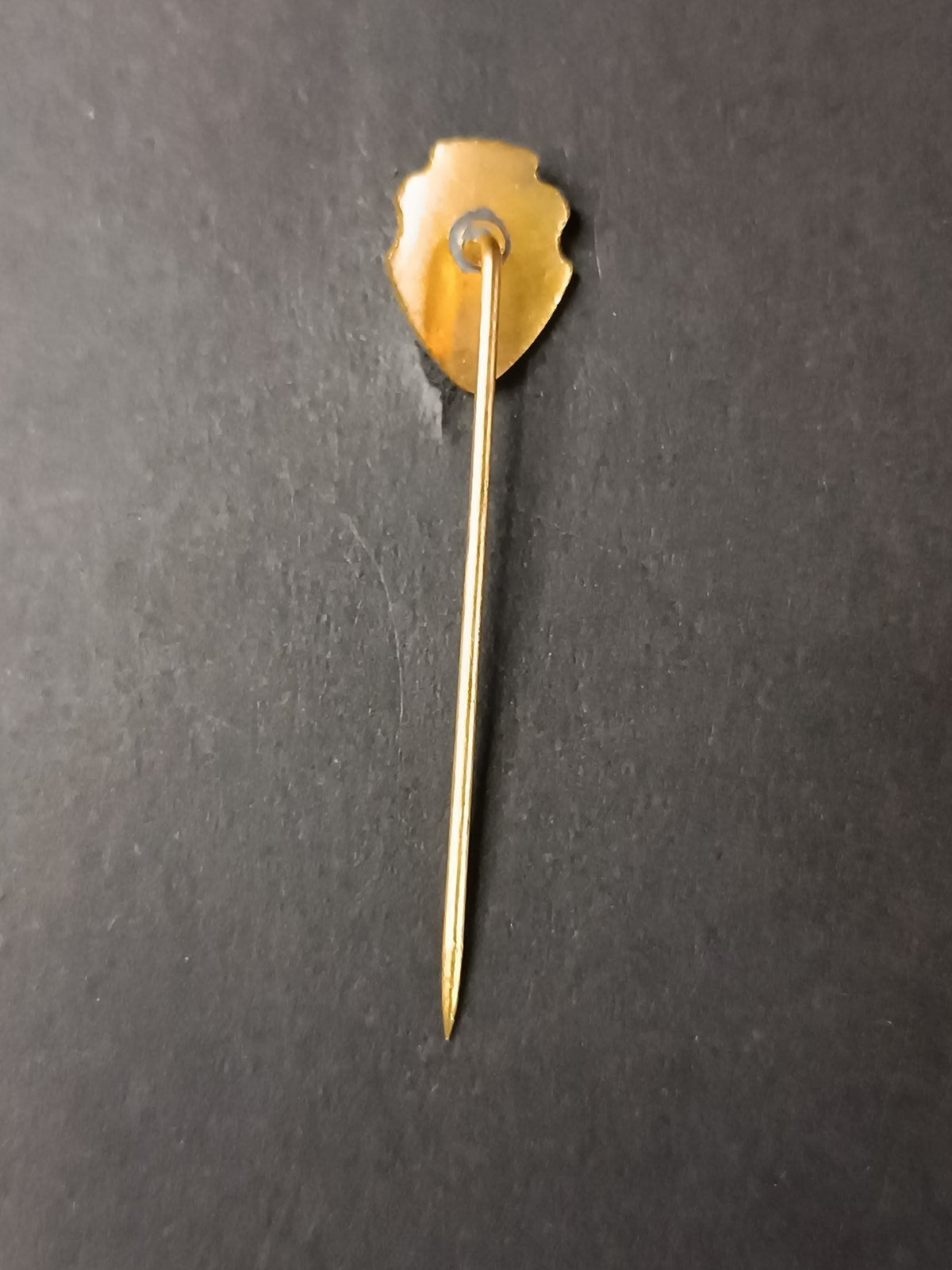 spilla badge pins Comercial Ribeir�o Preto