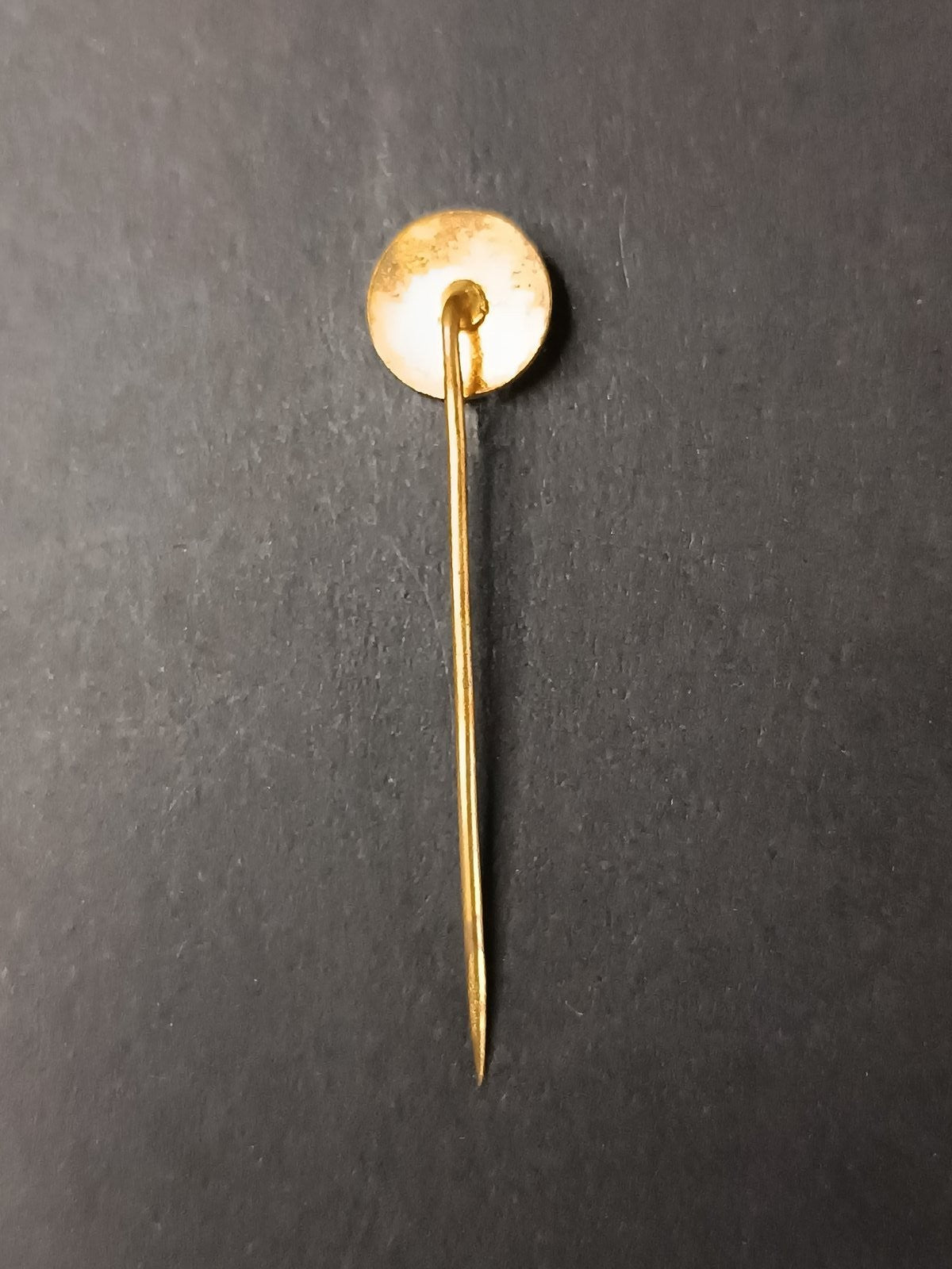 spilla badge pins Sociedade Esportiva Palmeiras