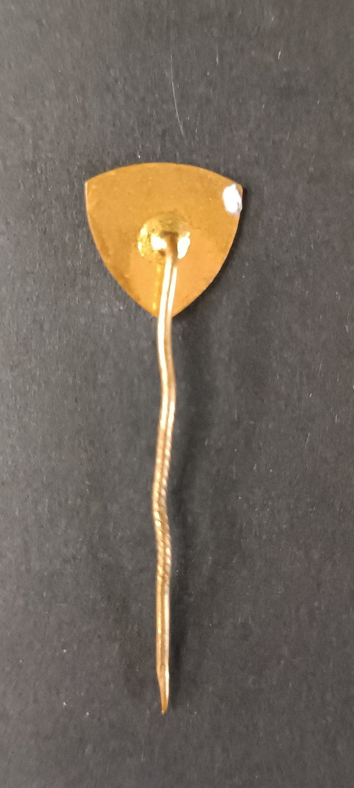 spilla badge pins TJ Tatran Bohunice