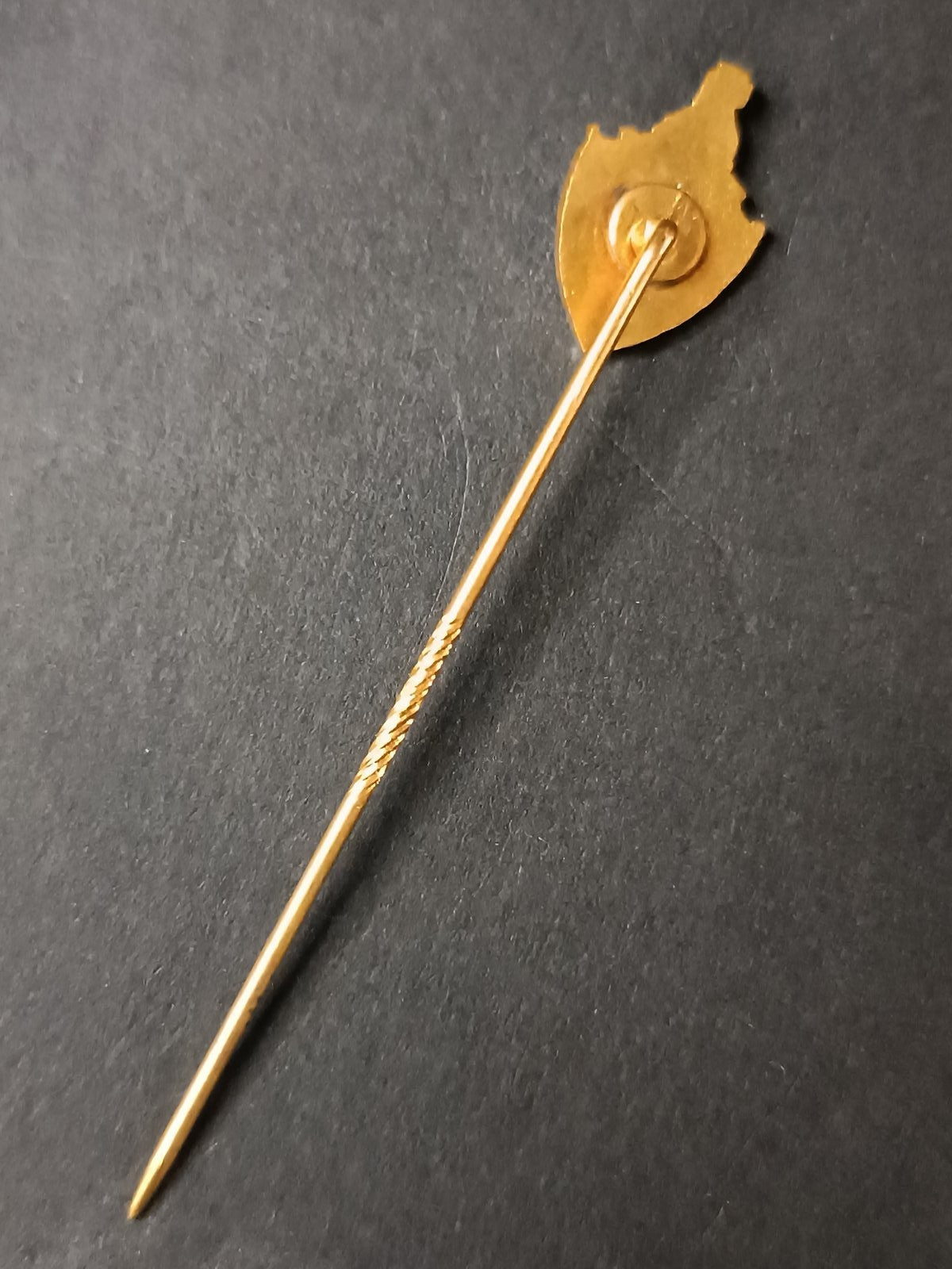 spilla badge pins SC Vianense