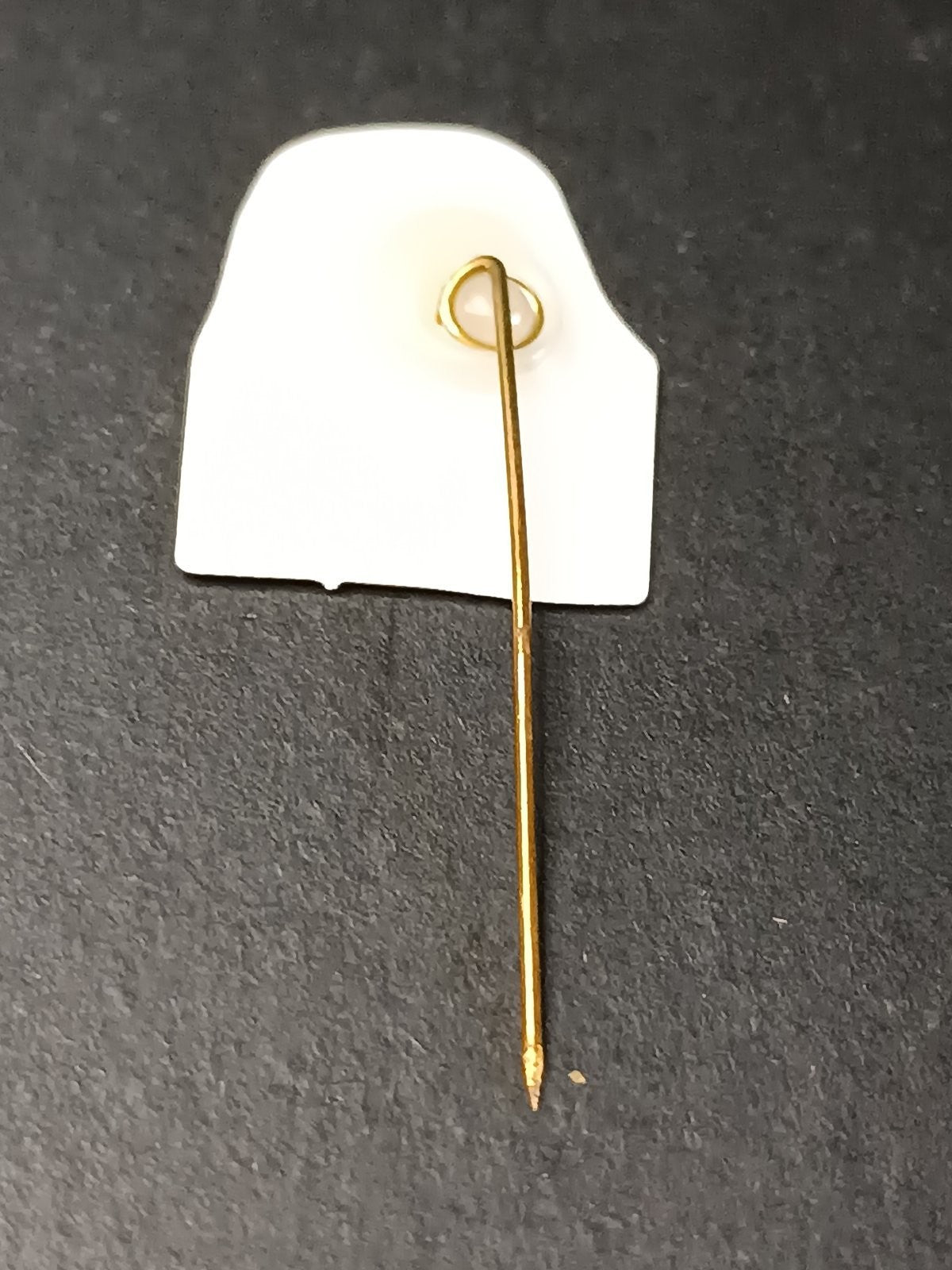 Old Pins Pin Badge Spilla A.C.Milan spilla da giacca Ruud Gullit panini 489