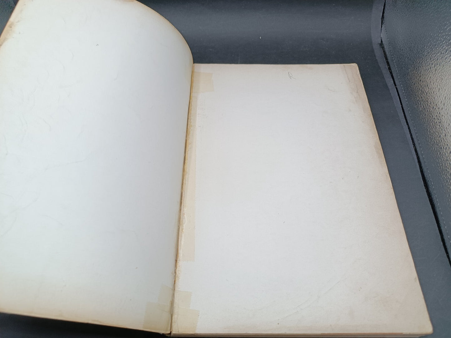 Libro I sessant'anni del Torino 1906-1966