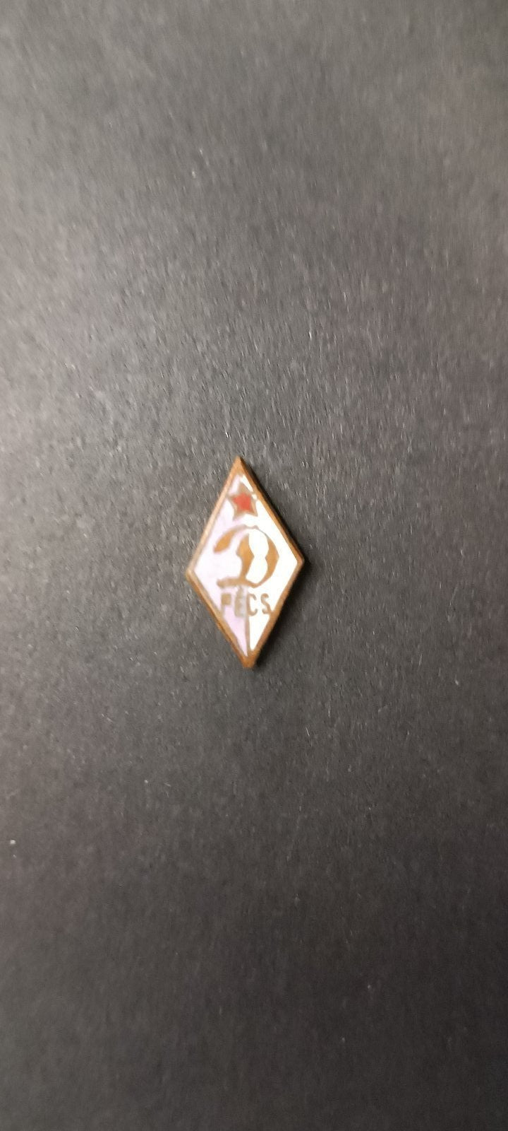 spilla badge pins Dinamo