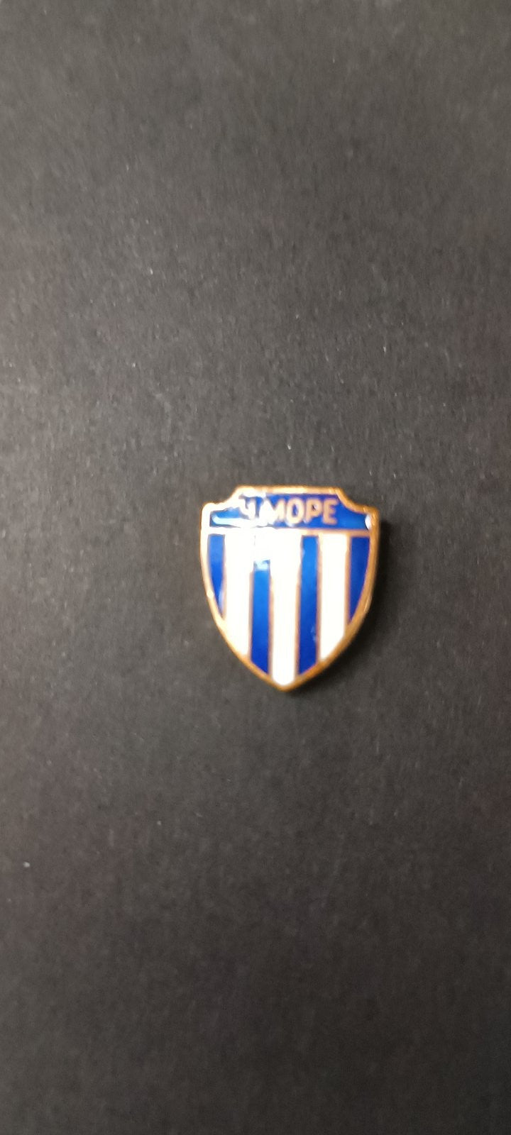 spilla badge pins ?????? ??????