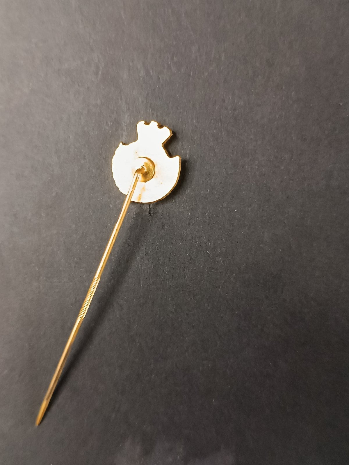 spilla badge pins L'Aquila Calcio 1927