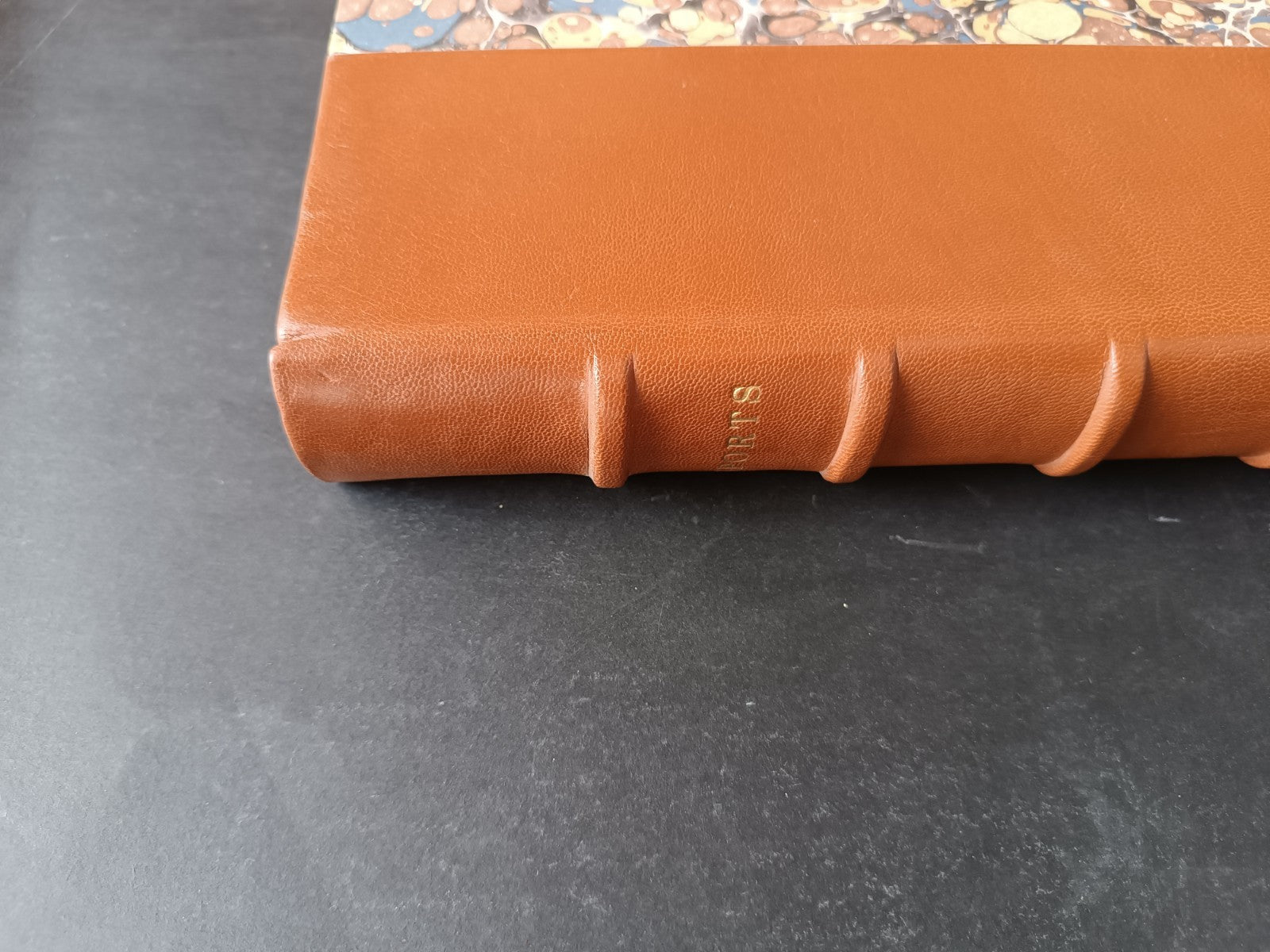 Image #3