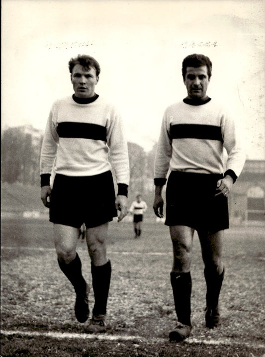 Foto Bacci e Altafini 1959 Simmental