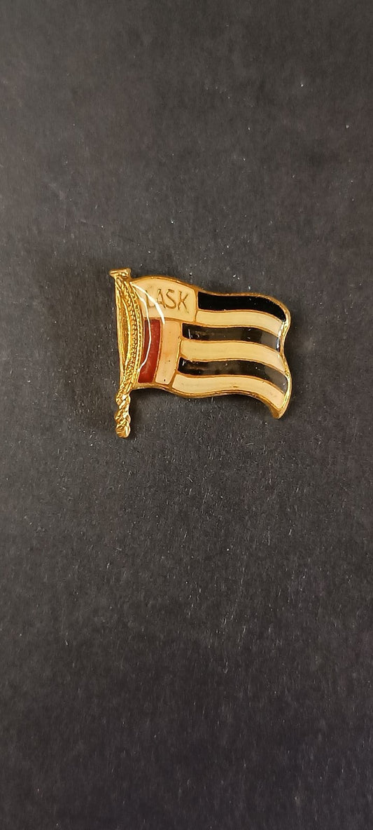 spilla badge pins LASK LINZ