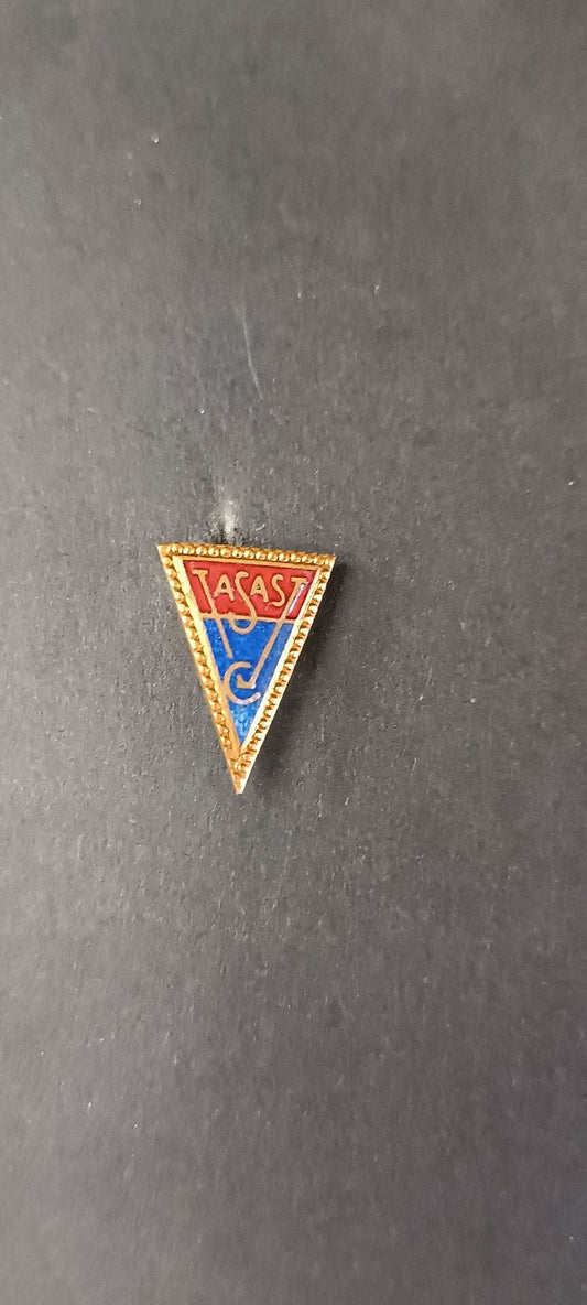spilla badge pins Vasas FC