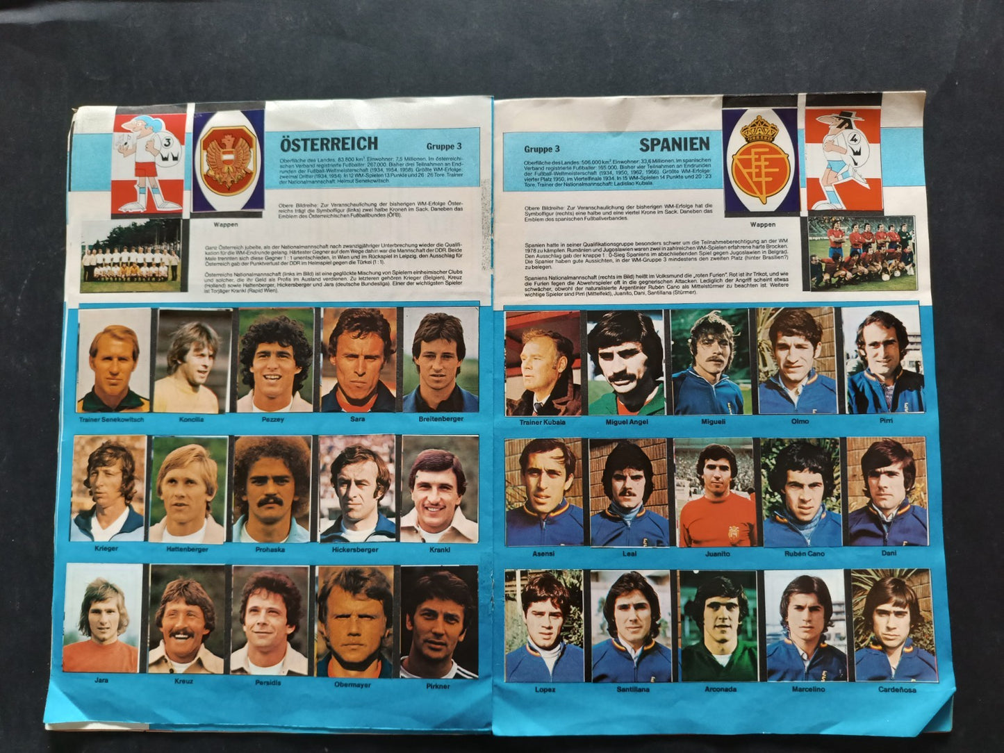 Image #11