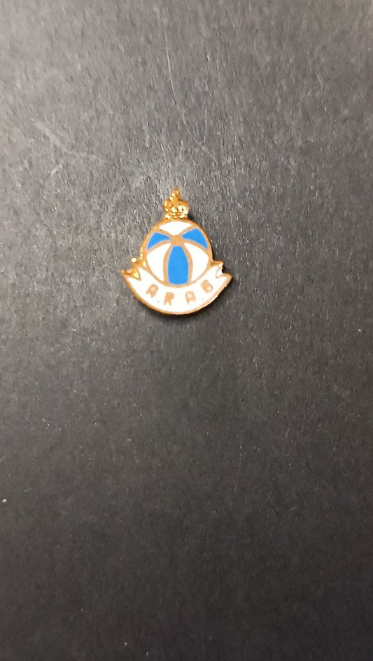 spilla badge pins NOAD