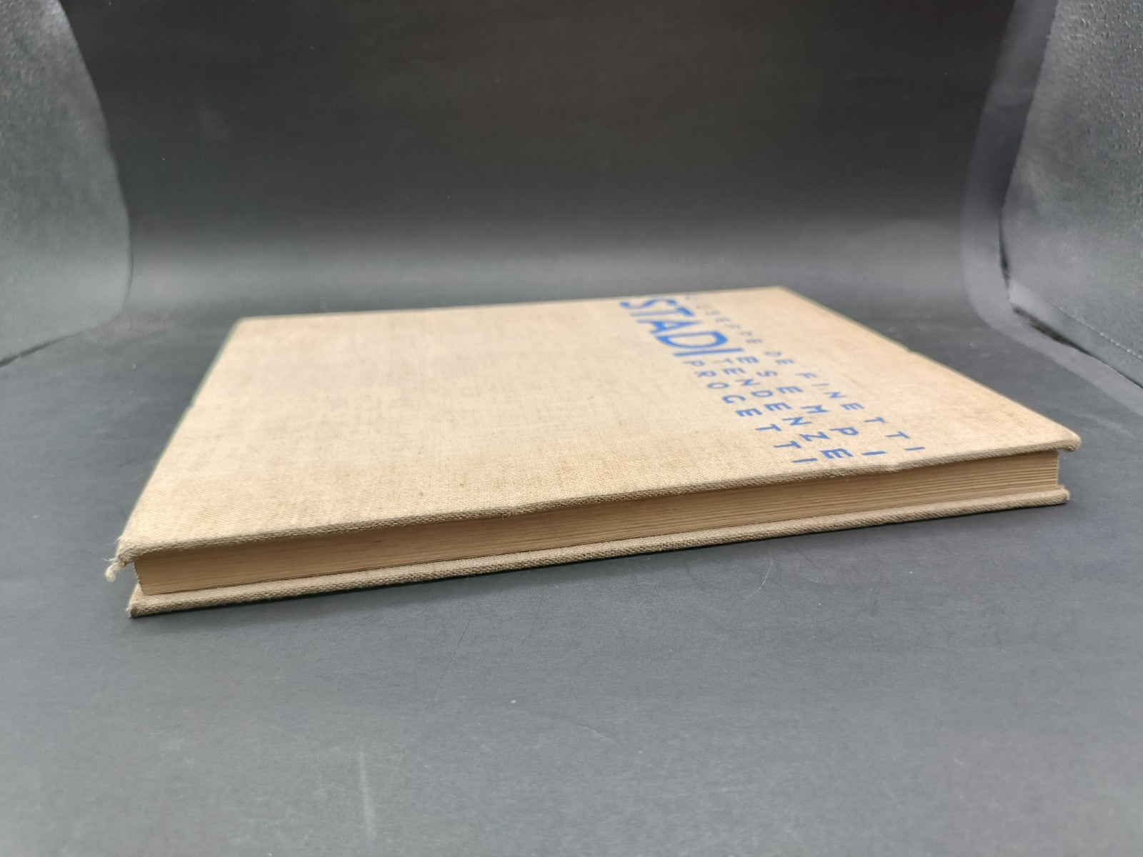 Volume illustrato Stadi Esempi, tendenze, progetti Hoepli 1934