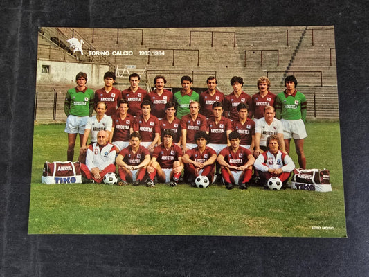 Cartolina Autografi stampati Torino Calcio 1983/84 ufficiale Tiko Ariostea