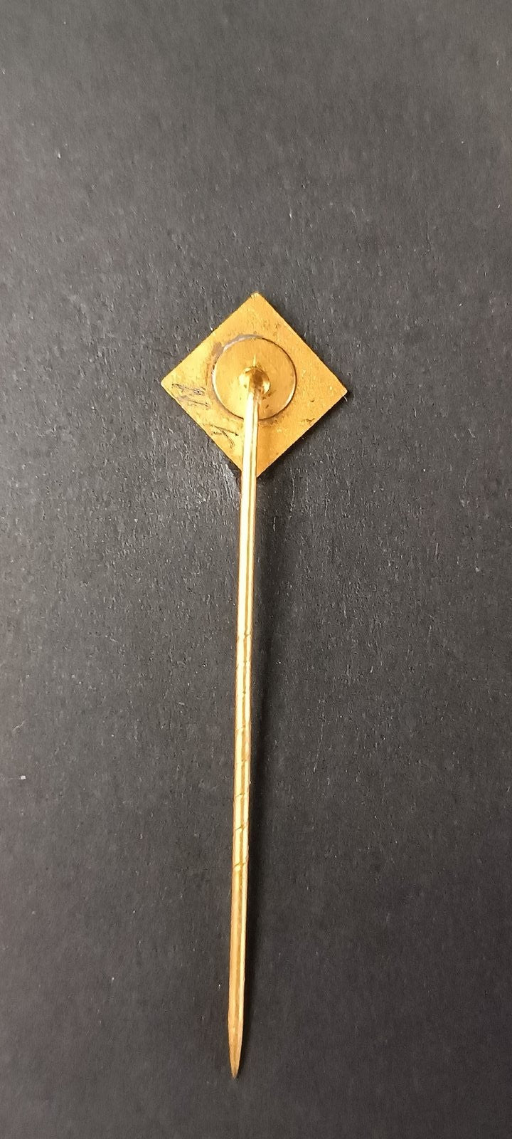 spilla badge pins Turn- und Spielvereinigung Koblenz 1911