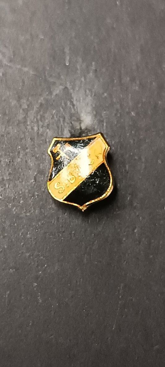 spilla badge pins SJU