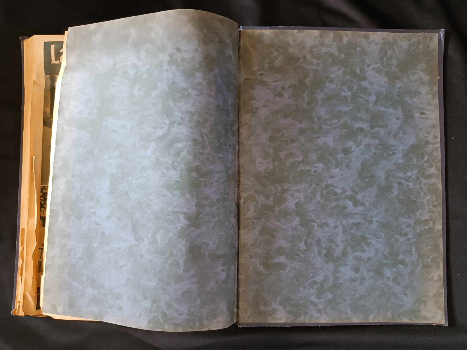 Image #3