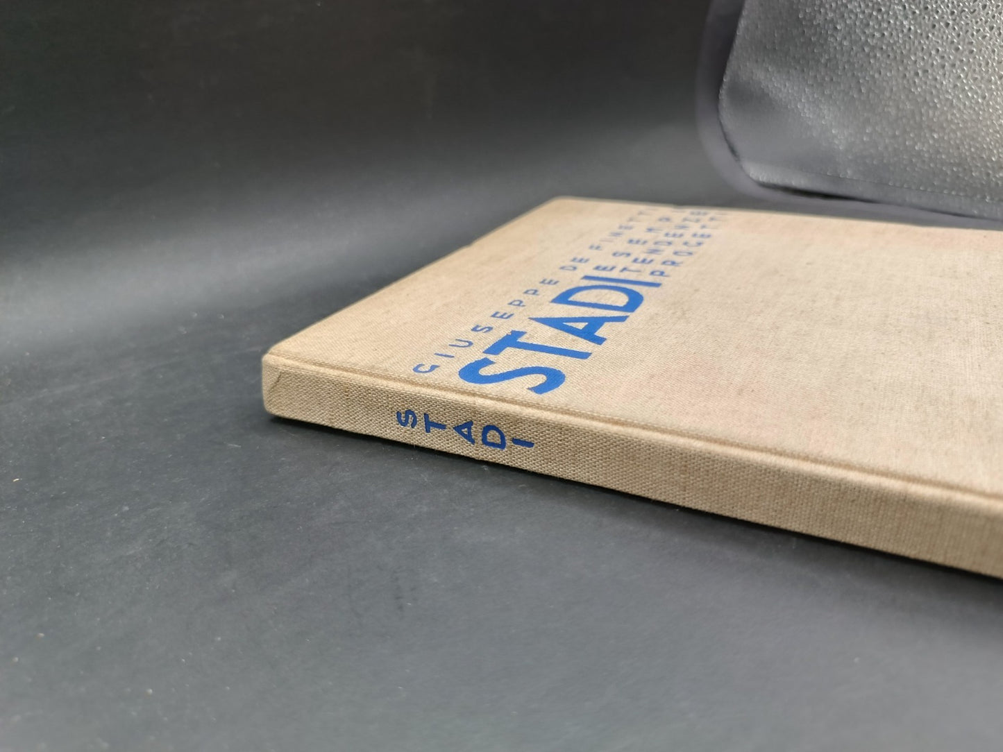 Volume illustrato Stadi Esempi, tendenze, progetti Hoepli 1934