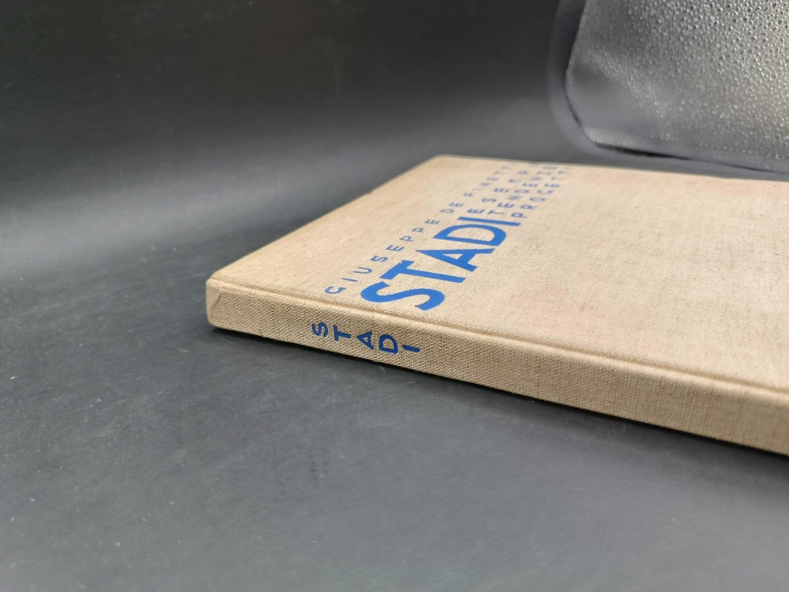 Volume illustrato Stadi Esempi, tendenze, progetti Hoepli 1934