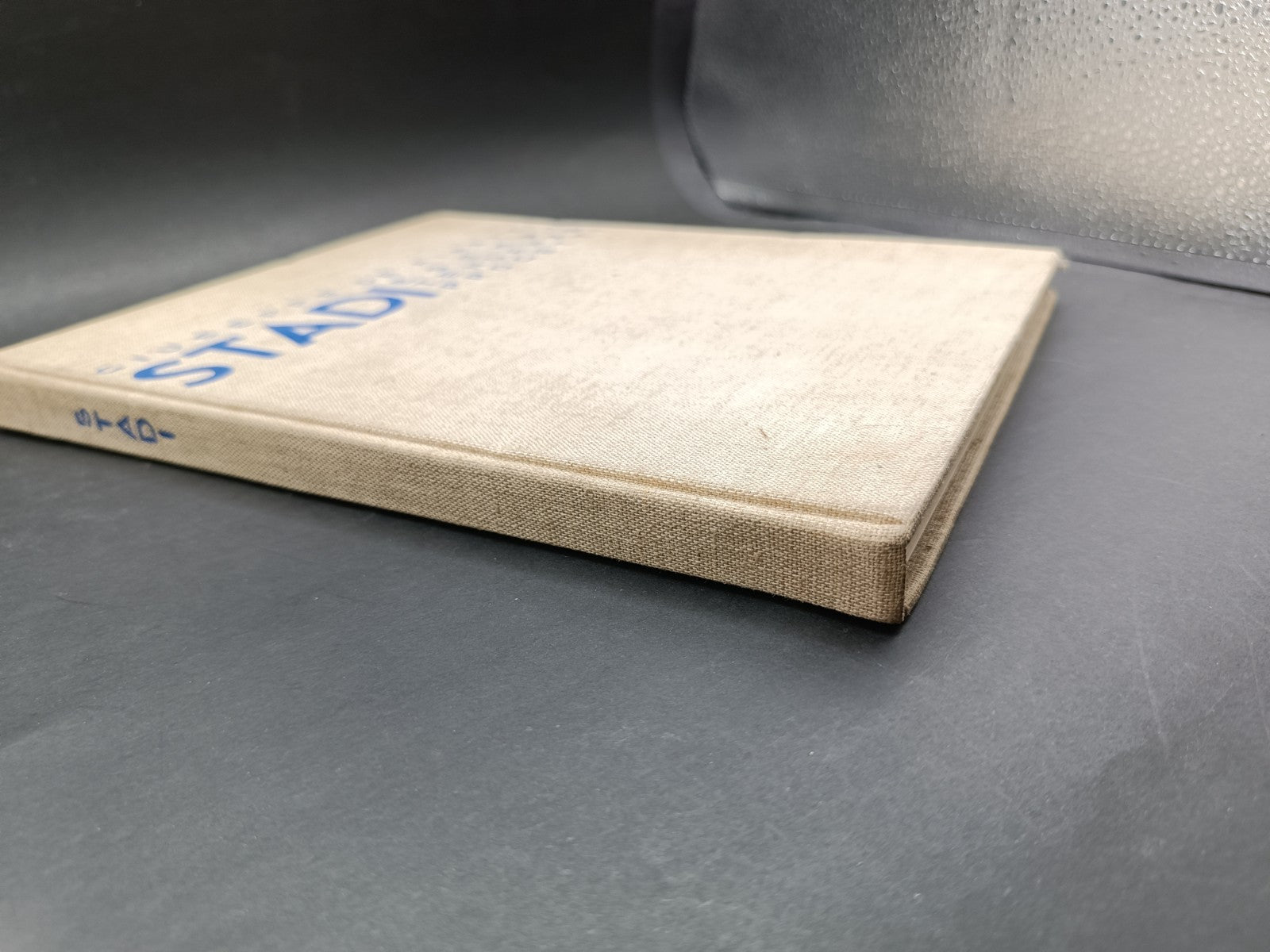 Volume illustrato Stadi Esempi, tendenze, progetti Hoepli 1934