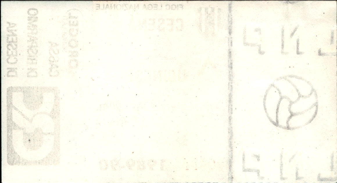 biglietto Ticket Stadio Cesena Udinese 1989-90