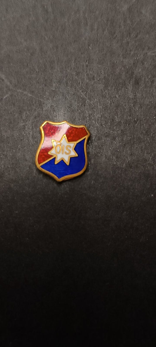 spilla badge pins OIS