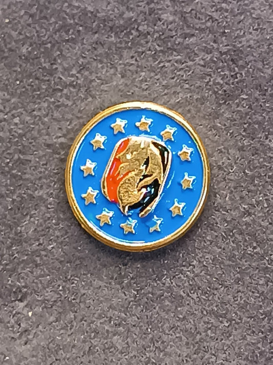 Old Pins Pin Badge Spilla A.C.Milan 12 stelle  senza ferma piedino 467