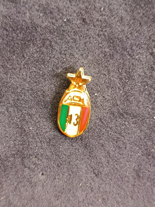 old pins Pin Badge Spilla A.C.Milan ovale 13 stella scudetti senza piedino 261