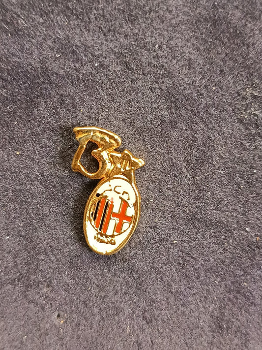 old pins Pin Badge Spilla A.C.Milan ovale 13 stella scudetti senza piedino 252