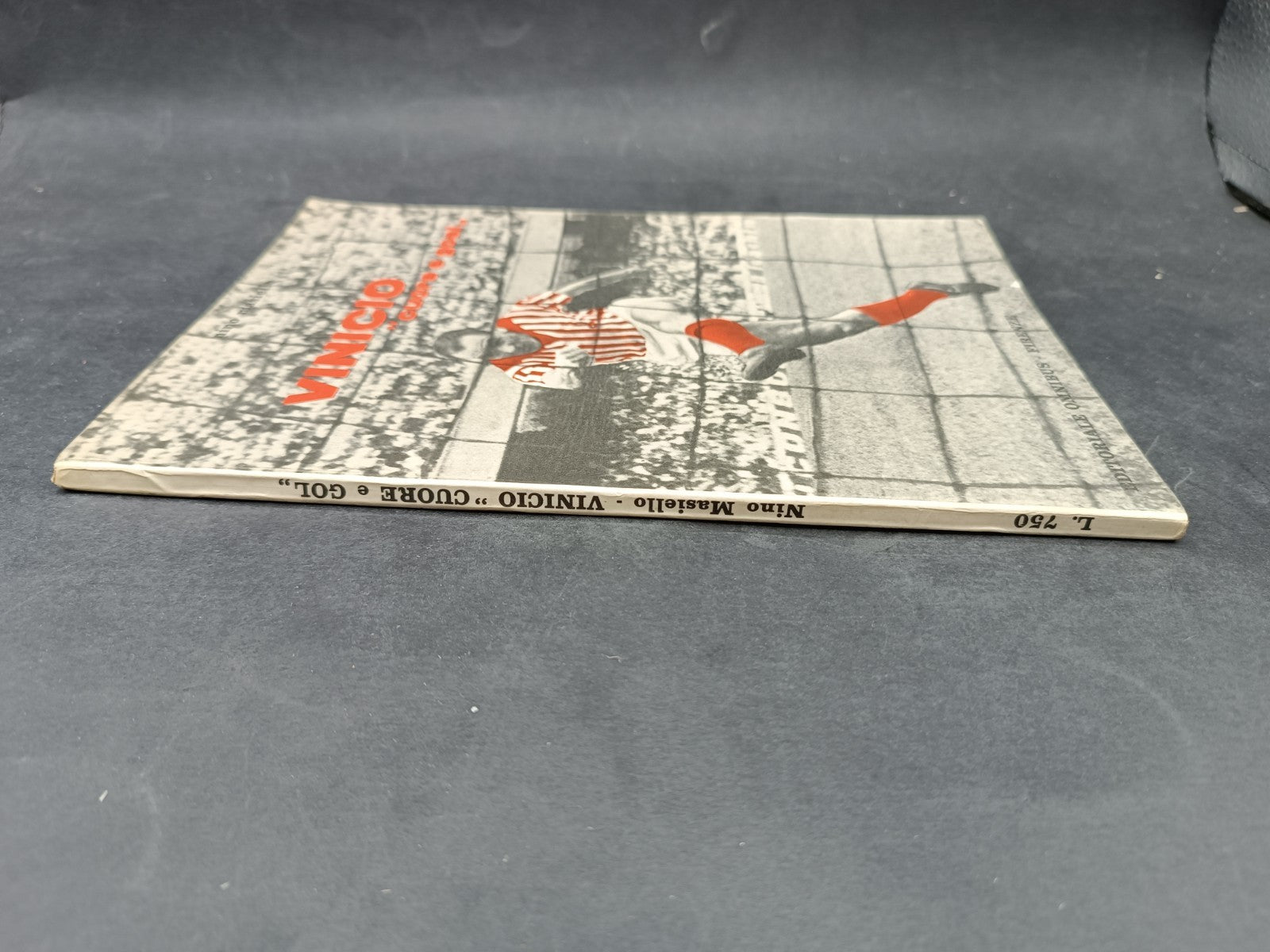 Libro Vinicio Cuore  e goal Editoriale Omnibus