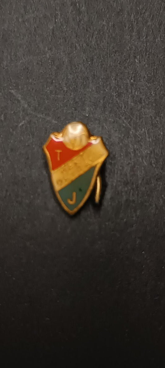 spilla badge pins Terni