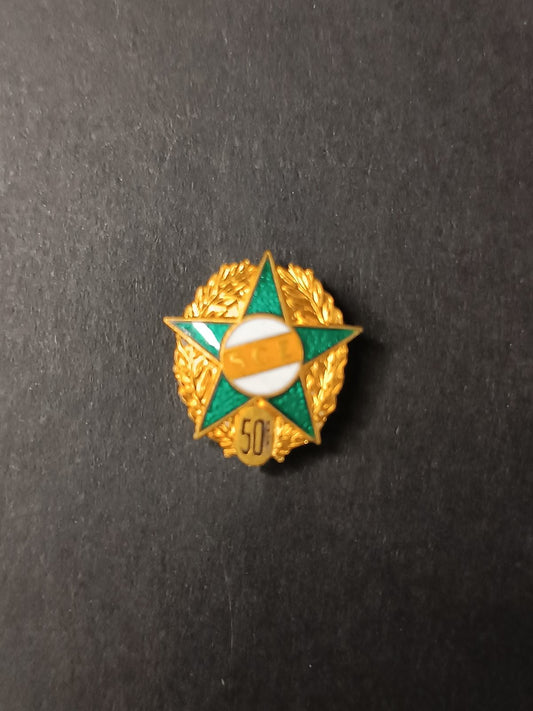 spilla badge pins SCE 50�