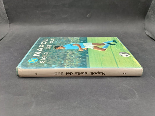 Libro NAPOLI STELLA DEL SUD di N.Masiello