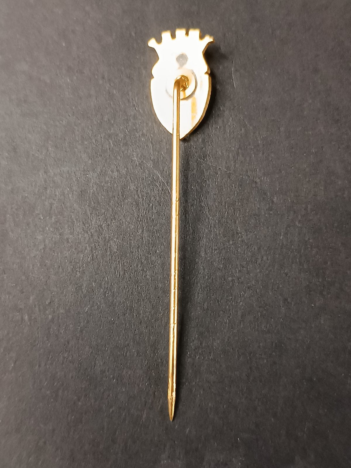 spilla badge pins Futebol Clube de Penafiel