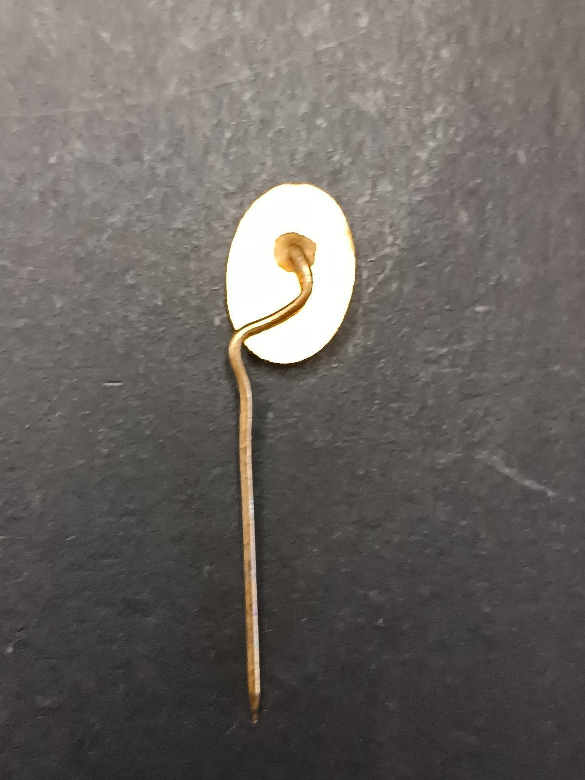 Pins Pin Badge Spilla A.C.Milan spilla da giacca 66