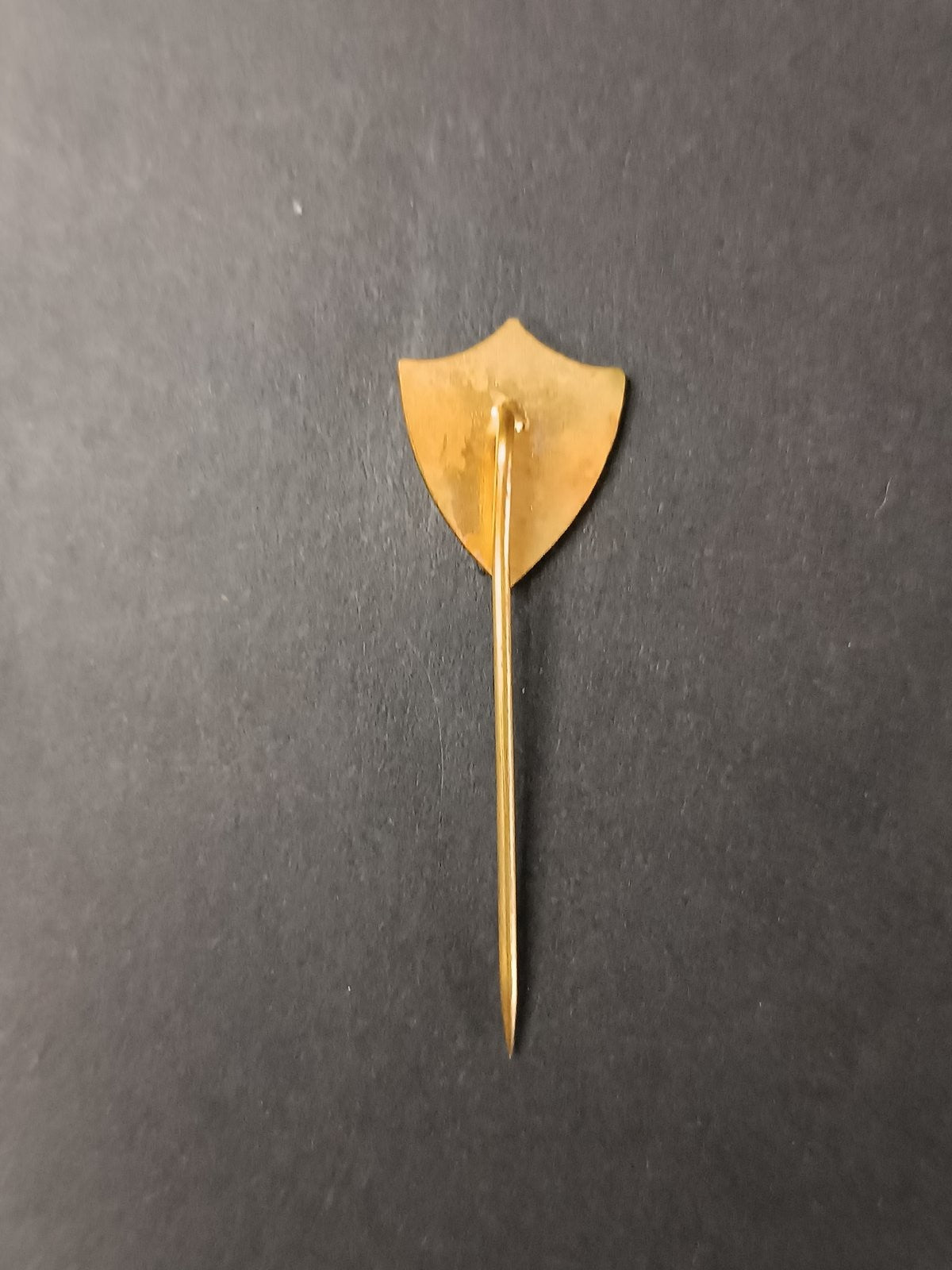 spilla badge pins ODZNAK KOPANA SPARTAK TRNAVA