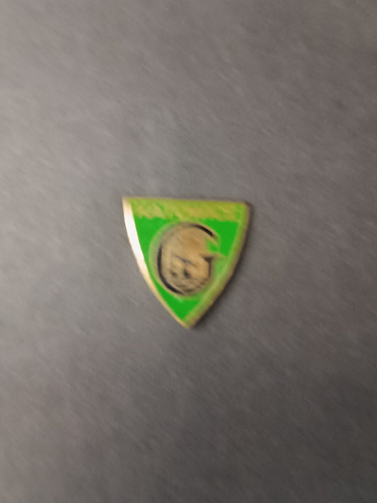 spilla badge pins G