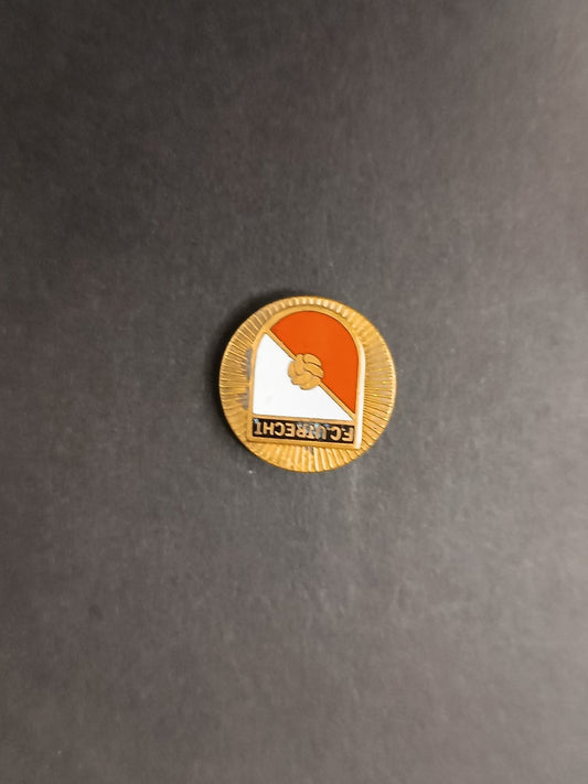 spilla badge pins FC URNECHI
