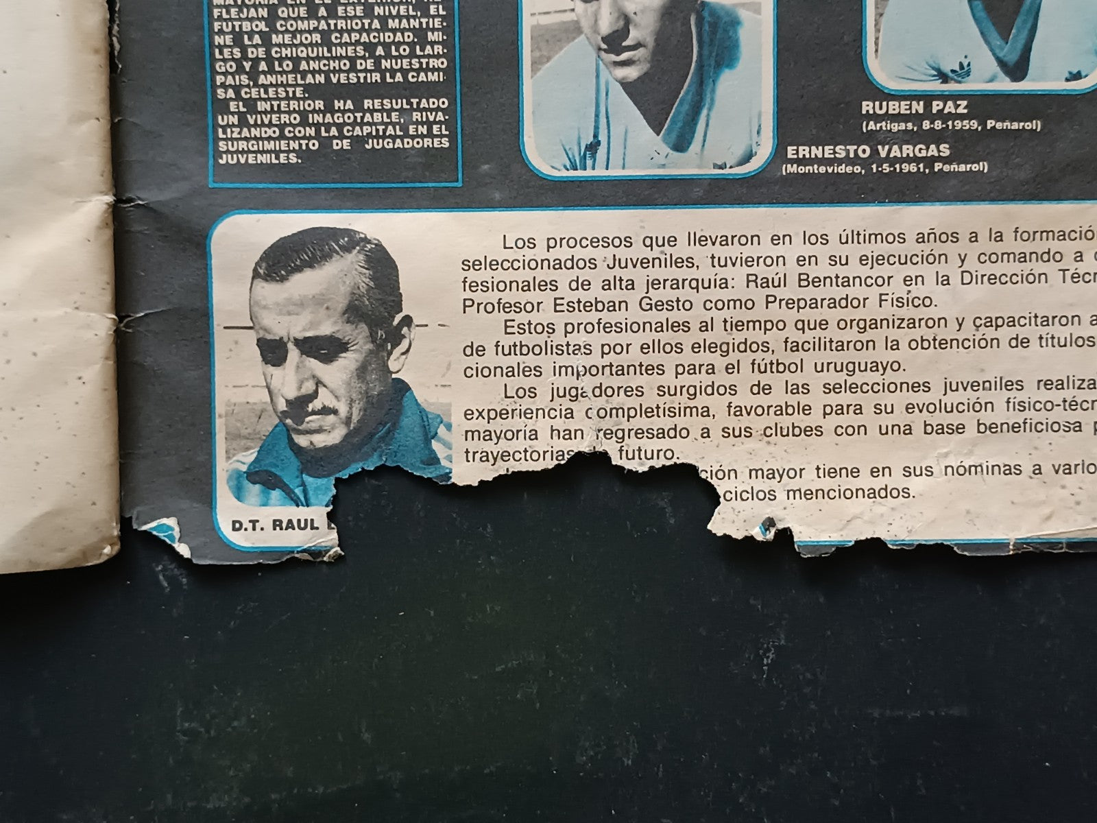 Image #19