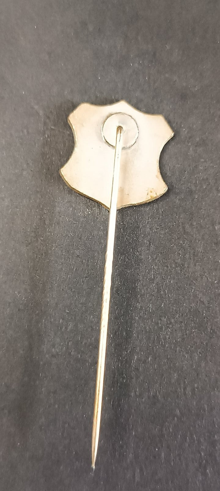 spilla badge pins Fotballklubben Lyn Oslo